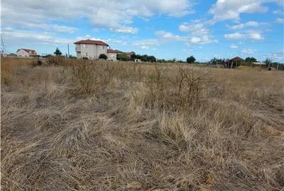 Viitorul Tau Incepe Aici - Teren de 614 mp in Viile Noi - 1