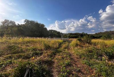 Bocsa Teren 9400 Mp Intravilan - 7