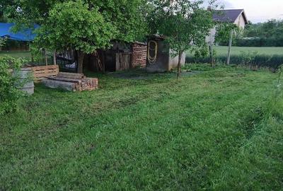 Casă cu 6 camere cu Teren 1600 Mp în Siliștea - 6