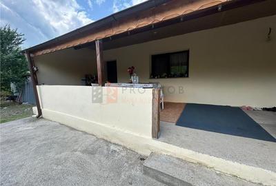 Casa tip parter zona Magura - 13