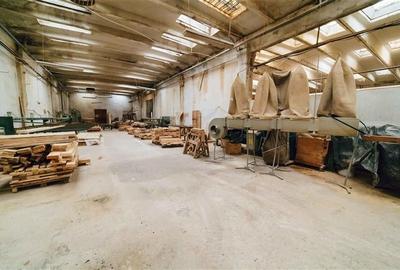 Complex industrial adecvat pentru productie (Gheorgheni,  str. Kossuth Lajos) - 23