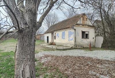 Casă cu 3 camere în Săcel - 8