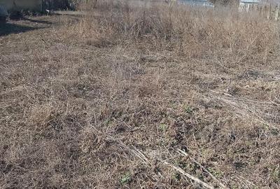 Casă cu Teren 2129 Mp în Vlădeni - 1
