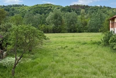 Teren de 1200 mp, în Provița de Sus - 9