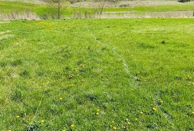 Teren de 2900 mp, în Baciu - 2