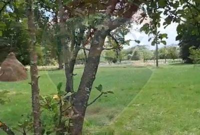 Casa langa parau-sat Brusturi, com. Halmagiu - 1