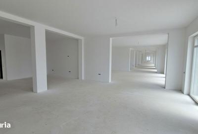 Spațiu comercial, de 300 mp, în Central - 6