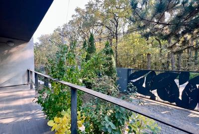 VANZARE SPATIU DE BIROURI/ VILA // ZONA ALEEA TEISANI- BANEASA VANZARE SPATIU DE BIROURI/ VILA // ZONA ALEEA TEISANI- BANEASA - 1