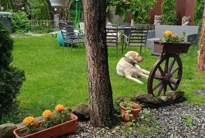 Vila moderna cu panouri fotovoltaice ?i termosemineu proprietar, in Turda - 16