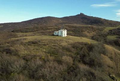 Castel cu vedere panoramica pe dealul ?iriei - 5