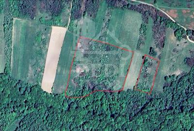 Teren 1 EURO/mp de vanzare in Tileagd-Balaia, Bihor - 3