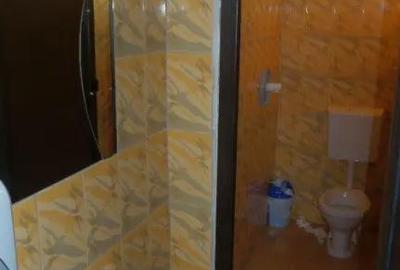 Spațiu comercial, de 450 mp, în Boțârlău - 8