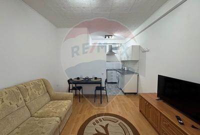 PRIMA ÎNCHIRIERE | Garsonieră renovată, mobilată complet | Zona Astra - 6