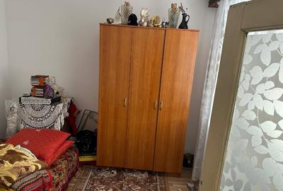 Casa formata din 2 corpuri si un garaj in comuna Branceni - 10