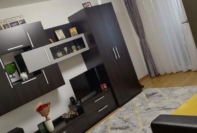 Apartament cu 2 camere decomandat în Remetea - 6