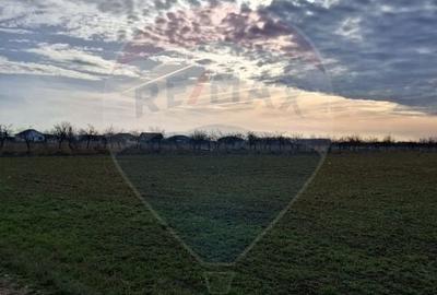 Teren agricol intravilan de 5700 mp, în Sântion - 2