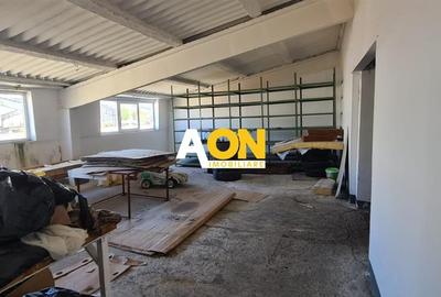 Hala Industriala 1077 mp - 4