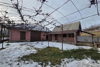 Casa cu 3 camere si anexe, sat Valea Crisului, Bratca,Bihor - 6