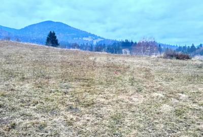 Teren de 2500 mp, în Colibița - 4