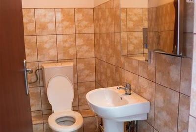 Spațiu industrial, de 425 mp, în Dorobanți - 17