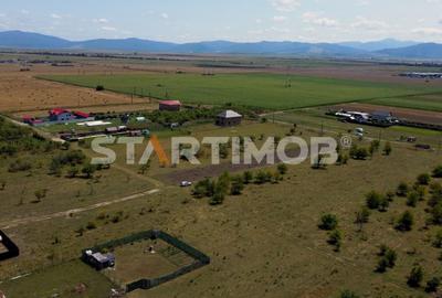 Teren intravilan Livada Sanpetru - 7