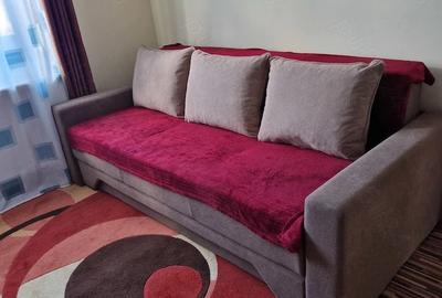 Casă cu 3 camere cu Teren 540 Mp în Bujac - 6