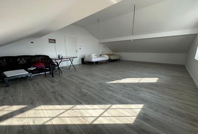 Casa individuala Dumbravita P+ M/ Teren 955 mp cu 2 fronturi - 12