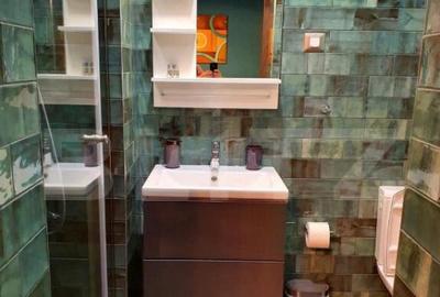 Vila deosebita cu 6 camere, 530mp, Statiunea Sovata - 2