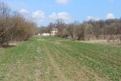 Teren în Măgurele - 9