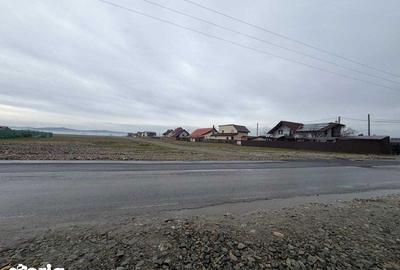 Teren de 300 mp, în Central - 4