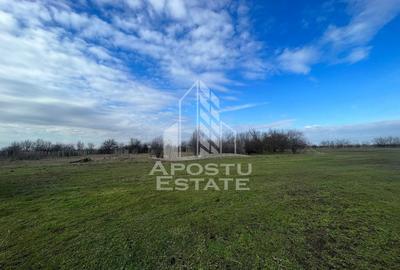 Spațiu comercial, în Gai - 1