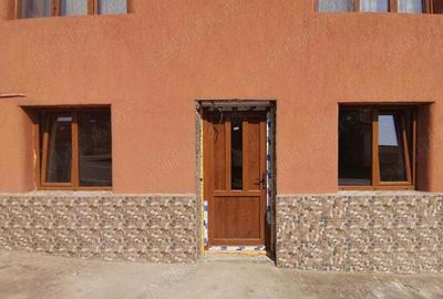 Spa?iu comercial Mehadia - 2