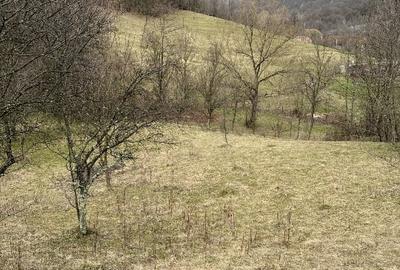 Teren Construcții intravilan de 3300 mp, în Sălătrucel - 4