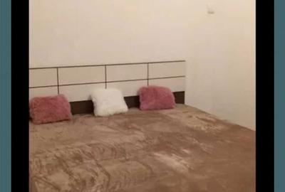 Apartament cu 2 camere decomandat în Nufărul - 3
