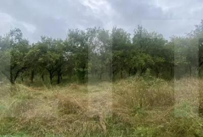 Teren de 5150 mp, în Simeria - 4