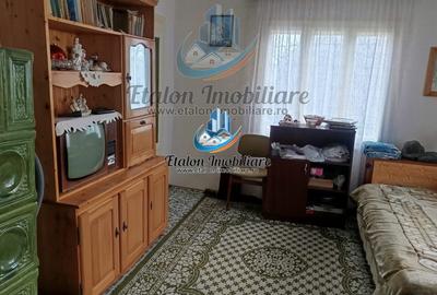 Casa Sat Valea Seaca, com. Baltatesti, jud. Neamt - 2