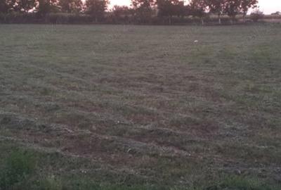 Spațiu comercial, în Cărpiniș - 14