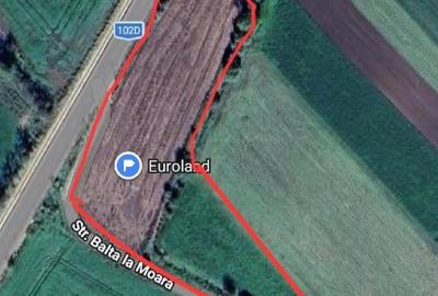 Teren Construcții intravilan de 5000 mp, în Sălciile - 1