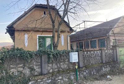 Casă cu Teren 3646 Mp în Aștileu - 2