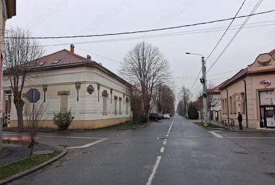 Casă cu Teren 437 Mp în Titulescu - 7