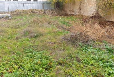 Casă individuală cu 10 camere cu Teren 1109 Mp în Apollo - 18