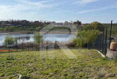 Teren Construcții intravilan de 883 mp, în Moara Vlăsiei - 6