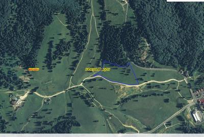 Vand 100.000 mp teren intravilan Poiana Mica - dezvoltari imobiliare - 6