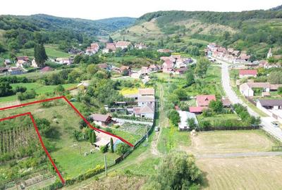 Casa de vacan?a in sat sasesc, Moarda? jude?u... - 14