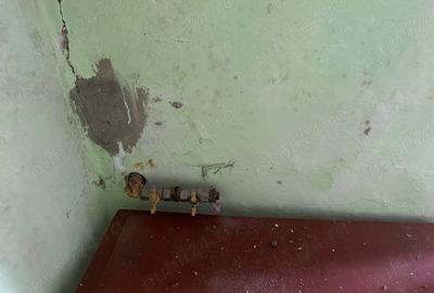 Casă cu 3 camere în Secuia - 4