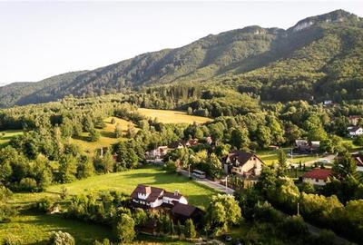 FILM! Investitie 2 in 1:Unitati independente +domeniu 1.742mp,aria Bran,Tohanita - 58