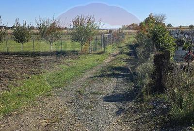 Teren de vanzare in Maneuti - 2