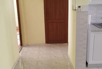 Apartament cu 2 camere decomandat în Central - 8