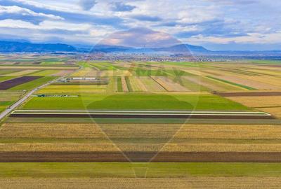 Teren de 10000 mp, în Tărlungeni - 3