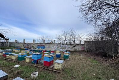 Teren de 470 mp, în Poarta 6 - 4